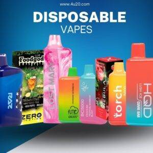 Brands Disposable Vapes